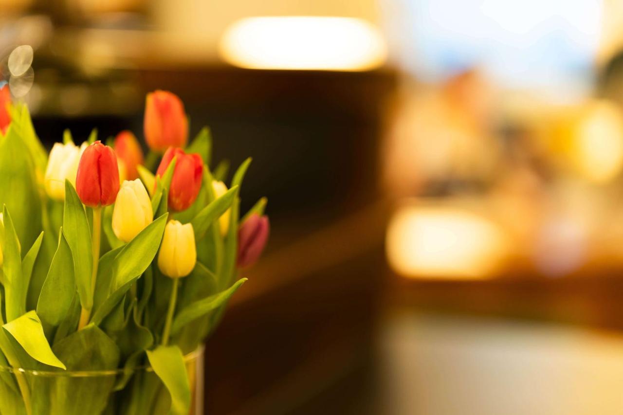 Logis Hotel Quartier 5, Saechsische Schweiz, Mit Restaurant, Cafe & Bar Gohrisch Kültér fotó
