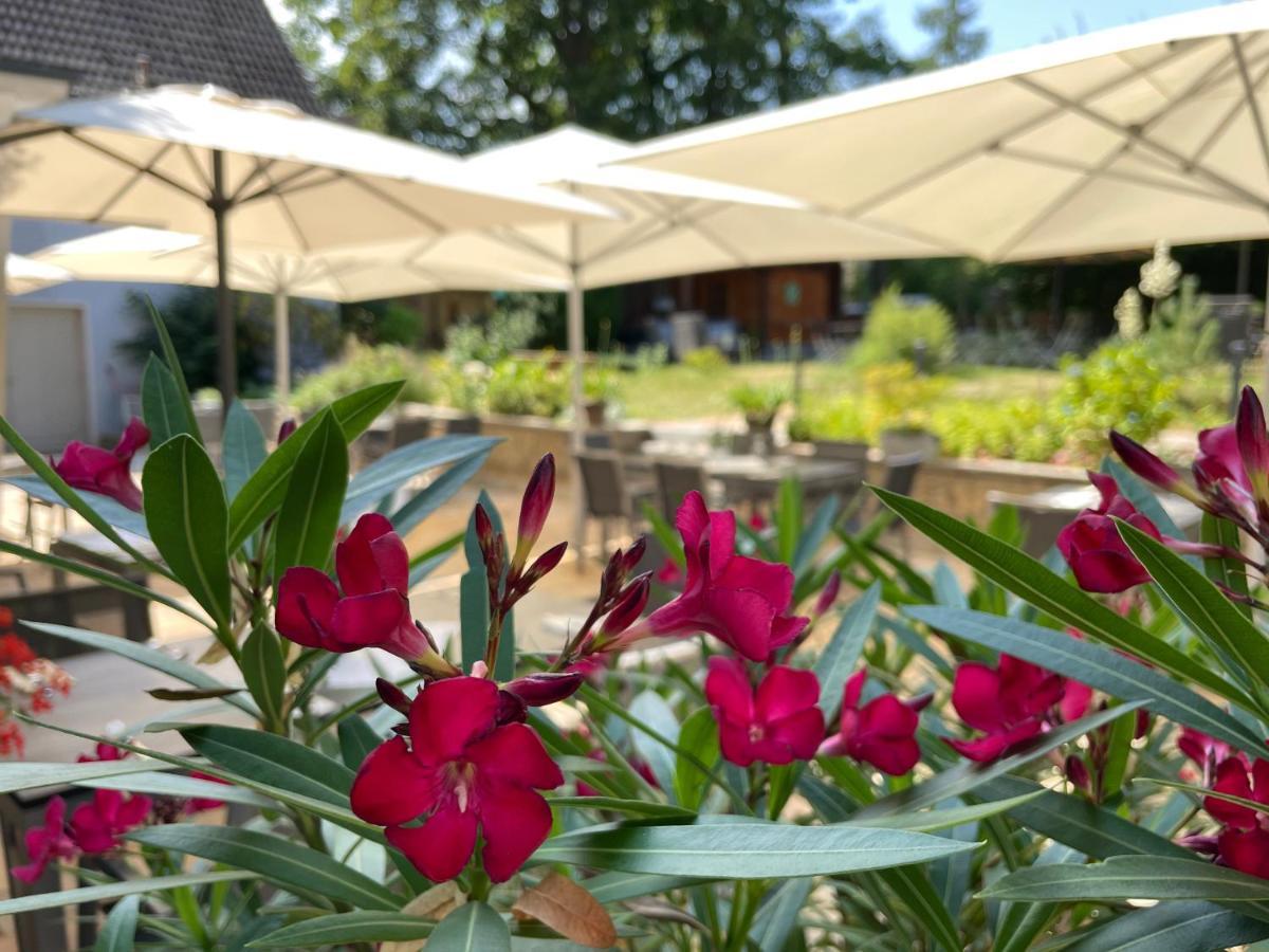 Logis Hotel Quartier 5, Saechsische Schweiz, Mit Restaurant, Cafe & Bar Gohrisch Kültér fotó