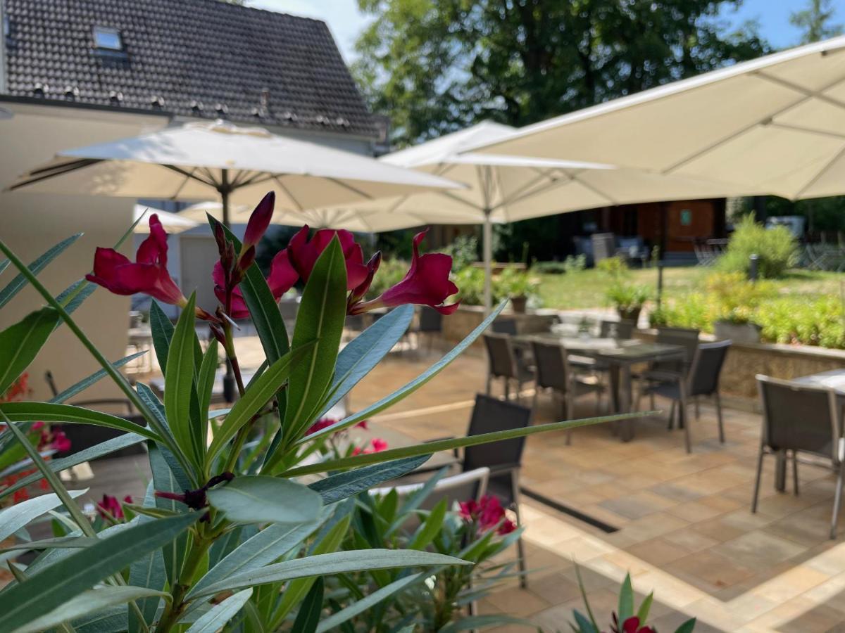 Logis Hotel Quartier 5, Saechsische Schweiz, Mit Restaurant, Cafe & Bar Gohrisch Kültér fotó